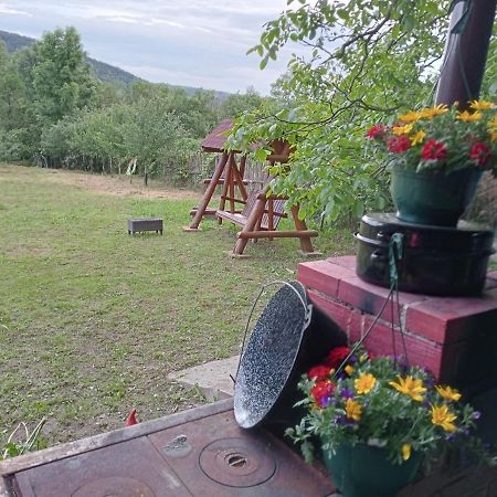 Hello Nature House - Cheile Nerei, Carasului, Garlistei Giurgiova Buitenkant foto